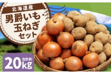 じゃがいも 男爵 Lサイズ 約10kg×1箱・玉ねぎ L大サイズ 約10kg×1箱 （JA） 計約20kg セット ジャガイモ 芋 いも イモ 玉葱 タマネギ たまねぎ 詰め合わせ 詰合せ 国産 【2025年11月上旬-12月下旬迄発送予定】