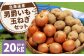 じゃがいも 男爵 Lサイズ 約10kg×1箱・玉ねぎ L大サイズ 約10kg×1箱 （JA） 計約20kg