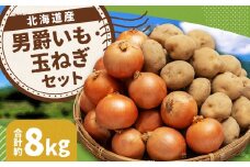 じゃがいも 男爵 Lサイズ 約5kg×1箱・玉ねぎ Lサイズ 約3kg×1箱 （JA） 計約8kg セット ジャガイモ 芋 いも イモ 玉葱 タマネギ たまねぎ 詰め合わせ 詰合せ 国産 【2025年11月上旬-12月下旬迄発送予定】