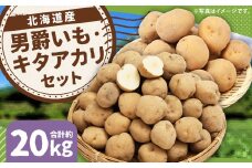 じゃがいも 男爵 キタアカリ  Lサイズ 各約10kg×1箱 計約20kg （JA） ジャガイモ 芋 いも イモ 食べ比べ 食べくらべ セット 国産 【2025年9月下旬-12月下旬迄発送予定】