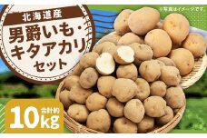 じゃがいも 男爵 キタアカリ  Lサイズ 各約5kg×1箱 計約10kg （JA） ジャガイモ 芋 いも イモ 食べ比べ 食べくらべ セット 国産 【2025年9月下旬-12月下旬迄発送予定】