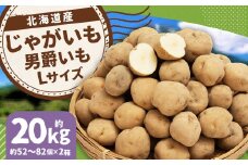 じゃがいも 男爵 Lサイズ 約10kg×2箱 計約20kg （JA） ジャガイモ 芋 いも イモ 国産 【2025年9月下旬-2026年2月下旬迄発送予定】