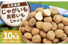 じゃがいも 男爵 Lサイズ 約10kg×1箱 計約10kg （JA） ジャガイモ 芋 いも イモ 国産 【2025年9月下旬-2026年2月下旬迄発送予定】