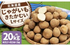 じゃがいも きたかむい Lサイズ 約10kg×2箱 計約20kg （JA） ジャガイモ 芋 いも イモ 国産 【2026年1月上旬-2月下旬迄発送予定】