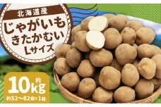 じゃがいも きたかむい Lサイズ 約10kg×1箱 計約10kg （JA） ジャガイモ 芋 いも イモ 国産 【2026年1月上旬-2月下旬迄発送予定】