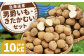 じゃがいも 男爵 きたかむい Lサイズ 各約5kg×1箱 計約10kg （JA）