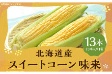 スイートコーン 味来 2Lサイズ 13本入×1箱 （JA） コーン とうもろこし トウモロコシ 国産 冷蔵 【2025年8月下旬-9月上旬迄発送予定】