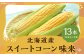 スイートコーン 味来 2Lサイズ 13本入×1箱 （JA）