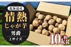 【先行受付】北海道産 情熱じゃが芋（男爵） Lサイズ 計約10kg 株式会社マルエイ商事 じゃがいも じゃが芋 ジャガイモ 芋 いも イモ 国産【2025年10月上旬～2025年12月上旬迄発送予定】