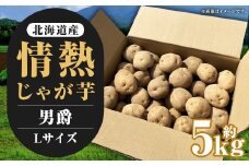 【先行受付】北海道産 情熱じゃが芋（男爵） Lサイズ 計約5kg 株式会社マルエイ商事 じゃがいも じゃが芋 ジャガイモ 芋 いも イモ 国産【2025年10月上旬～2025年12月上旬迄発送予定】