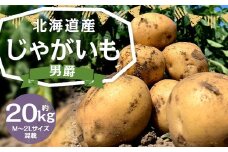 北海道産 じゃがいも 男爵 M～2Lサイズ混載 約20kg 1箱 山田農場 ジャガイモ 芋 いも イモ 国産 【2025年9月下旬-2026年3月上旬迄発送予定】