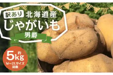 【訳あり】北海道産 じゃがいも 男爵 M～2Lサイズ混載 約5kg 1箱 山田農場 ジャガイモ 芋 いも イモ 訳アリ わけあり ワケアリ 国産 【2025年9月下旬-2026年3月上旬迄発送予定】