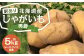 【訳あり】北海道産 じゃがいも 男爵 M～2Lサイズ混載 約5kg 1箱 山田農場