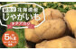【訳あり】北海道産 じゃがいも キタアカリ M～2Lサイズ混載 約5kg 1箱 山田農場