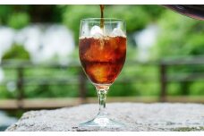 自家焙煎ネル濾し 【水出し珈琲】 720ml×2本 ［名水の郷 北海道京極町］ 布フィルター フランネル アイスコーヒー コーヒー 珈琲 自家焙煎 深煎 常温 