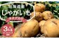 北海道産じゃがいも（キタアカリ） 約3kg 山田農場