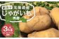 【訳あり】北海道産じゃがいも（男爵） 約3kg 山田農場