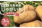 【訳あり】北海道産じゃがいも （キタアカリ） 約3kg 山田農場