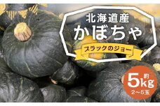 北海道産 かぼちゃ （ブラックのジョー） 約5kg セット 山田農場 【2025年10月上旬-11月上旬迄発送予定】 南瓜 カボチャ 野菜 やさい 北海道 京極町 常温