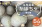 北海道産かぼちゃ（雪化粧） 約5kgセット 山田農場