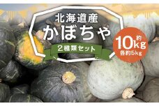 北海道産 かぼちゃ （ブラックのジョー） 約5kg ・ 北海道産かぼちゃ （雪化粧） 約5kgセット 山田農場 【2025年10月上旬-11月上旬迄発送予定】 南瓜 カボチャ 冬至用かぼちゃ 野菜 やさい 北海道 京極町 常温