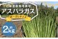 北海道産露地栽培アスパラガス M～2L 約2kg