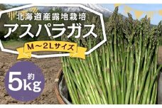 北海道産 露地栽培 アスパラガス M～2L 約5kg 【2026年5月下旬～6月上旬迄発送予定】 グリーンアスパラガス アスパラ 野菜 北海道 京極町 冷蔵