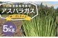 北海道産露地栽培アスパラガス M～2L 約5kg