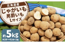 じゃがいも （男爵）  Lサイズ 約5kg × 1箱 約5kg （JA） 【2025年9月下旬～2026年2月下旬迄発送予定】 だんしゃく ジャガイモ 芋 いも 野菜 やさい ほくほく 北海道 京極町 常温