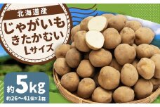 じゃがいも （きたかむい） Lサイズ 約5kg × 1箱 約5kg （JA） 【2026年1月上旬～2月下旬迄発送予定】 ジャガイモ 芋 いも 野菜 やさい 北海道 京極町 常温