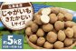 じゃがいも（きたかむい） Lサイズ 約5kg×1箱 約5kg（JA）