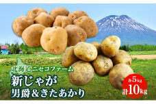 北海道産 越冬 じゃがいも 2種 詰め合わせ 男爵 きたあかり 各5kg 計10kg M-L サイズ混合 芋 ジャガイモ いも 野菜 お取り寄せ キタアカリ ニセコファーム 送料無料 北海道 倶知安町