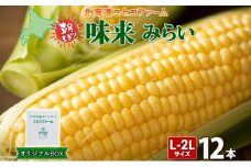 【 2025年 先行予約 】 北海道産 とうもろこし 味来 計12本 L-2L サイズ混合 大きめ みらい 旬 朝採り 新鮮 トウモロコシ 甘い 夏野菜 とうきび お取り寄せ 産地直送 野菜 しりべしや 送料無料