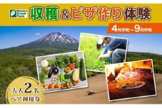北海道 オーガニック 野菜収穫＆ピザ作り 体験 2名様分 ペア チケット 体験型 ツアー 夏休み 野菜 有機野菜 ピザ ハウス 収穫 新鮮 ニセコグリーンファーム 送料無料