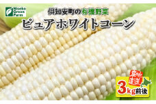 有機ピュアホワイトコーン3kg