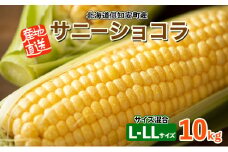 【 2025年 発送 】 先行予約 北海道産 とうもろこし サニーショコラ 計18～20本 10kg前後 L-LL 旬 スイート コーン イエロー トウモロコシ お取り寄せ 産地直送 野菜 とうきび 