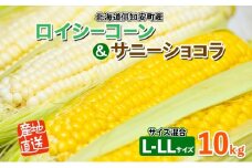 【 2025年 発送 】 先行予約 北海道産 とうもろこし ロイシーコーン サニーショコラ 計18～20本 10kg前後 L-LLサイズ 旬 スイート コーントウモロコシ とうきび 新鮮 農作物 野菜 産地直送