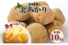 【 2025年 発送 】 先行予約 北海道産 道塚農園 じゃがいも 北あかり 計10kg前後 L-LLサイズ ジャガイモ きたあかり キタアカリ 馬鈴薯 芋 いも イモ 農作物 野菜 産地直送 