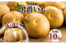 【 2025年 発送 】 先行予約 北海道産 道塚農園 じゃがいも 男爵 計10kg前後 L-LLサイズ ジャガイモ 男爵いも 男爵芋 だんしゃく 馬鈴薯 芋 いも イモ 農作物 野菜 産地直送 