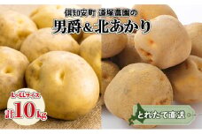 北海道産 道塚農園 じゃがいも 食べ比べ 2種セット 男爵 北あかり 計10kg前後 L-LLサイズ ジャガイモ きたあかり農作物 お取り寄せ【じゃがいも・野菜・芋】