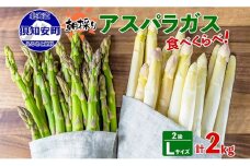 アスパラガス 北海道 グリーン AL ホワイト 2級品大・中 各1kg 食べ比べ セット 計2kg 春 限定 旬 朝採り 新鮮 野菜 アスパラ ギフト gift 産地直送 産直 お取り寄せ 詰め合わせ 送料無料