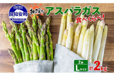 アスパラガス 北海道 グリーン AL ホワイト 2級品大・中 各1kg 食べ比べ セット 計2kg 春 限定 旬 朝採り 新鮮 野菜 アスパラ ギフト gift 産地直送 産直 お取り寄せ 詰め合わせ 送料無料
