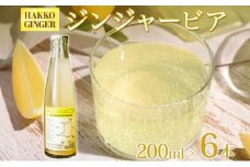 北海道 自家製 ジンジャービア 200ml×6本 HAKKO GINGER 発酵 ジンジャー ビール 生姜 レモン 辛口 ノンアルコール 炭酸 ヘルシー