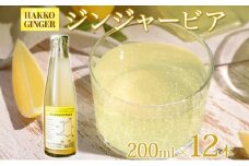 北海道 自家製 ジンジャービア 200ml×12本 HAKKO GINGER 発酵 ジンジャー ビール 生姜 レモン 辛口 ノンアルコール 炭酸 ヘルシー