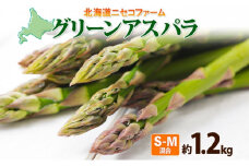北海道産 グリーン アスパラガス 約1.2kg S - M サイズ混合 アスパラガス アスパラ 旬 朝採り 新鮮 お取り寄せ 産地直送 産直 野菜 農作物 詰め合わせ 国産 送料無料 しりべしや ニセコファーム 北海道 倶知安町
