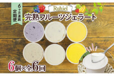 ◆6ヶ月連続定期便◆Ruhiel（ルヒエル）の完熟フルーツジェラート 6個セット スイーツ デザート