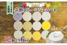 ◆6ヶ月連続定期便◆Ruhiel（ルヒエル）の完熟フルーツジェラート 12個セット スイーツ デザート