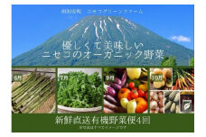 【数量限定】北海道 ニセコ 旬の有機栽培野菜セット 定期配送4回分  オーガニック 野菜詰め合わせ お取り寄せ グルメ