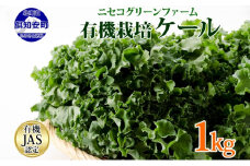 北海道産 旬の有機栽培野菜 ケール 1kg 有機栽培 オーガニック オーガニック野菜 有機野菜 有機jas認証 西洋野菜 ケール 生葉 青汁 スムージー 緑黄色野菜 新鮮 お取り寄せ