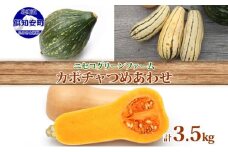 北海道産 旬の有機栽培野菜 かぼちゃ 3.5kg ミニバターナッツ デリカタ ロロン 有機栽培 オーガニック 有機野菜 有機jas認証 西洋野菜 新鮮 お取り寄せ 送料無料 ニセコグリーンファーム 北海道 倶知安町